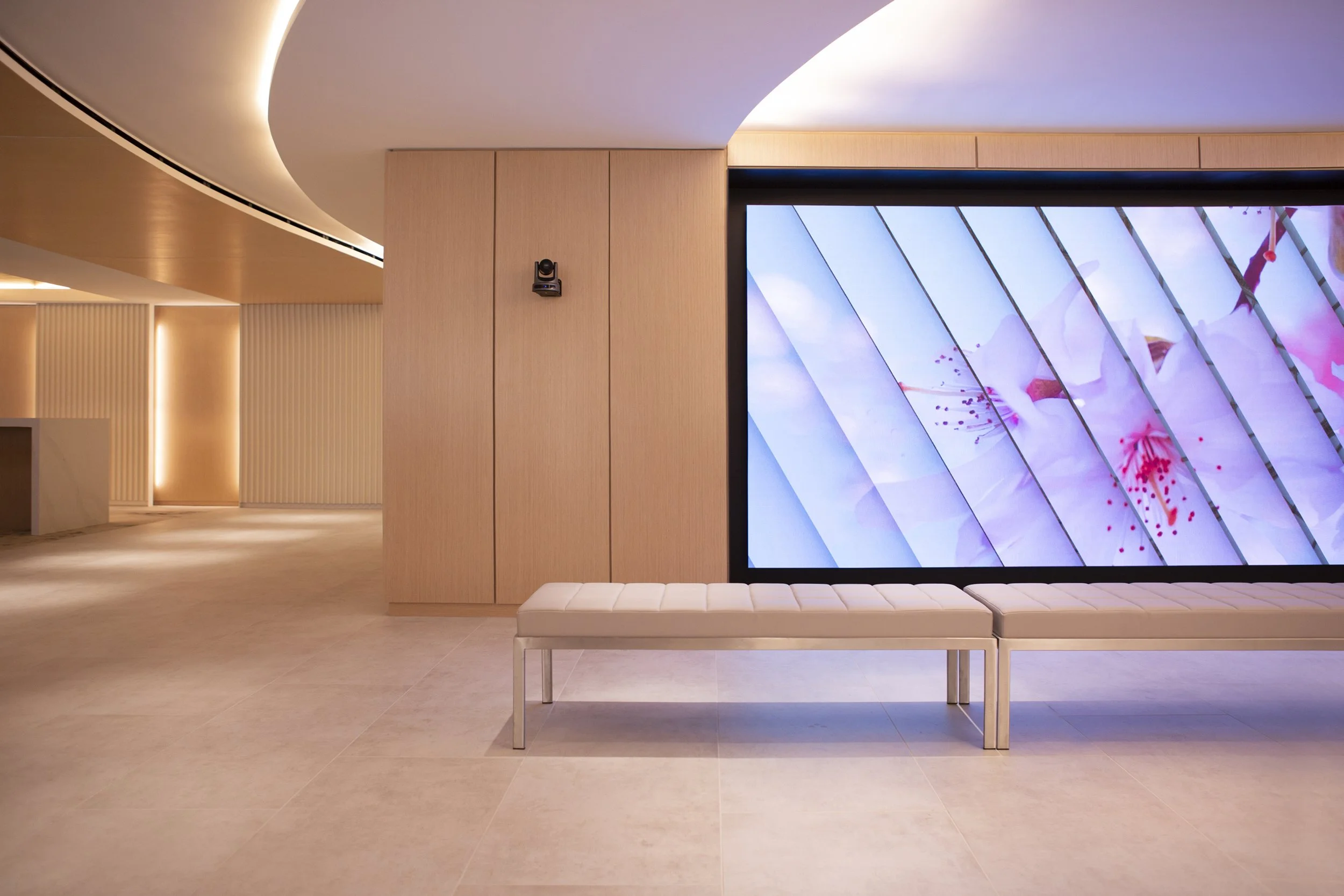 Cushman Wakefield Lobby Installation